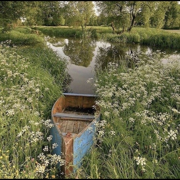 ~FAQ~ - Picture 5 of 5